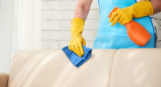 Close-up image of housewife using detergent to clean leather sofa